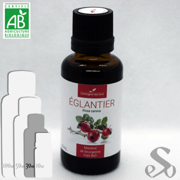 Macérât de bourgeons frais Bio d'Églantier 30ml