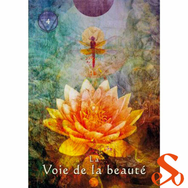 chaman_mystique_beaute