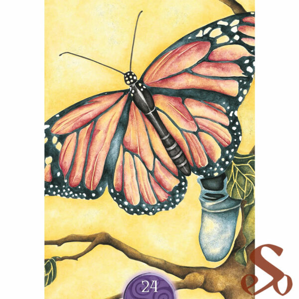 Wicca cartes oracle de magie blanche – Image 2