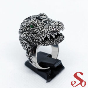 Tete-croco-1