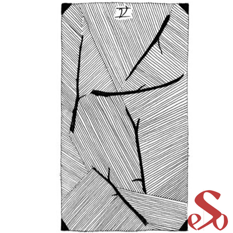 Le Tarot des mondes sauvages et inconnus – Image 6