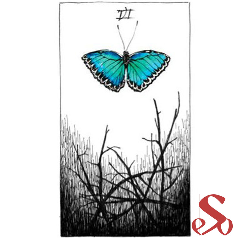 Le Tarot des mondes sauvages et inconnus – Image 5