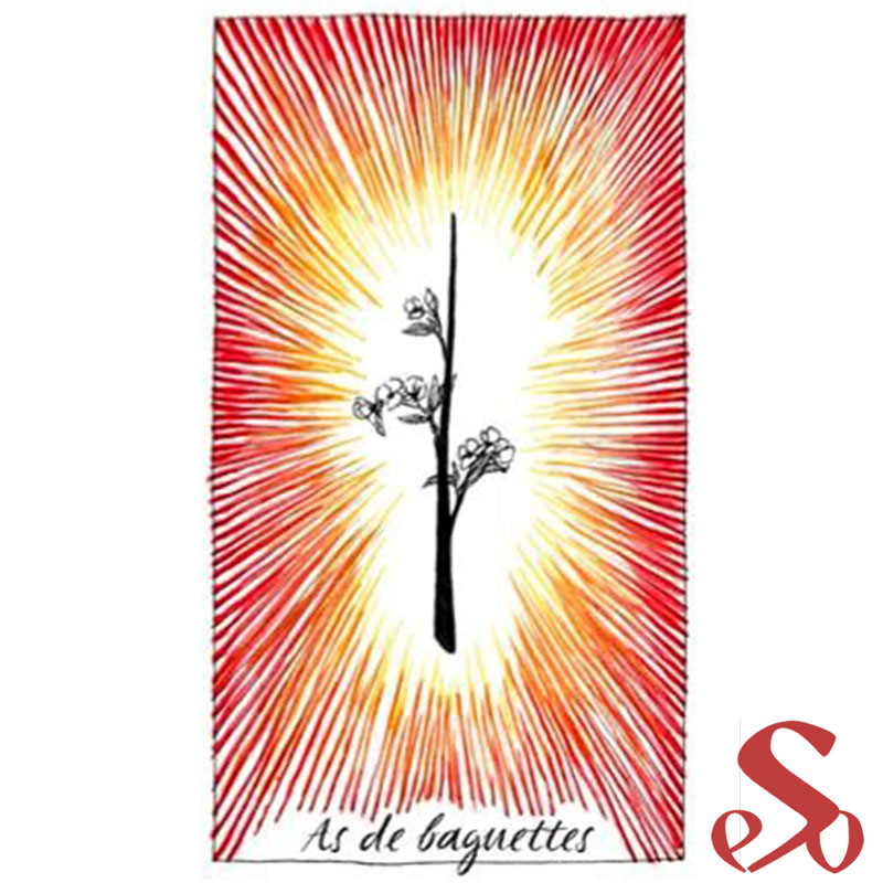 Le Tarot des mondes sauvages et inconnus – Image 12