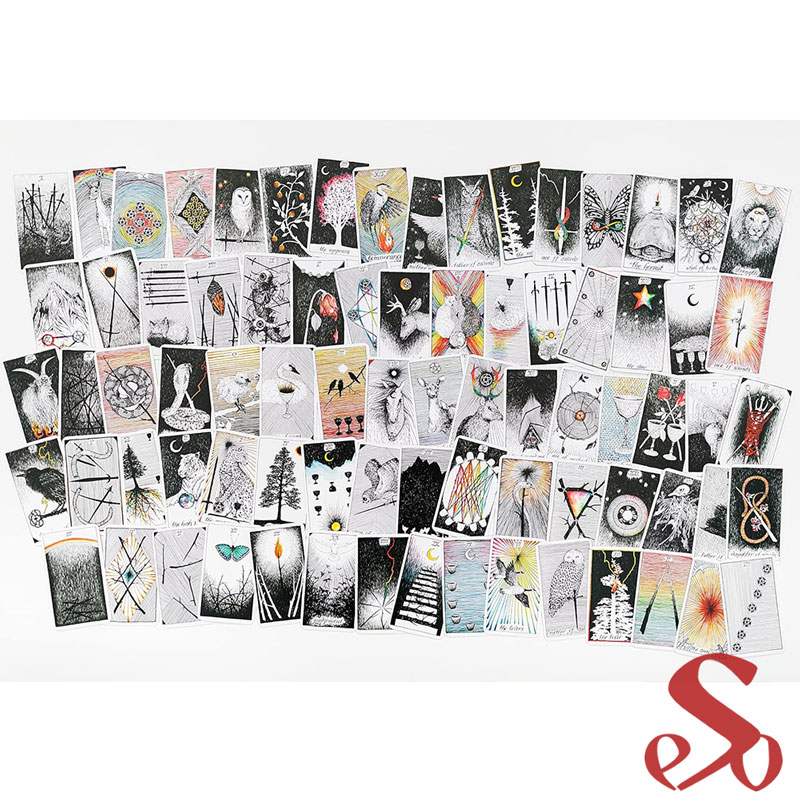 Le Tarot des mondes sauvages et inconnus – Image 3