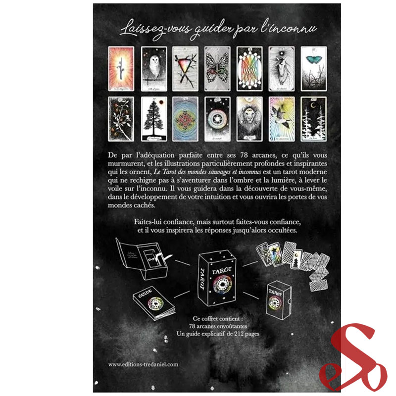 Le Tarot des mondes sauvages et inconnus – Image 2