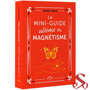Le-Mini-guide-ultime-du-magnetisme
