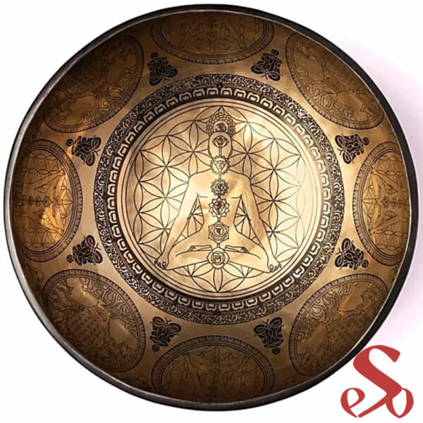 Fleur-de-vie-chakras-2